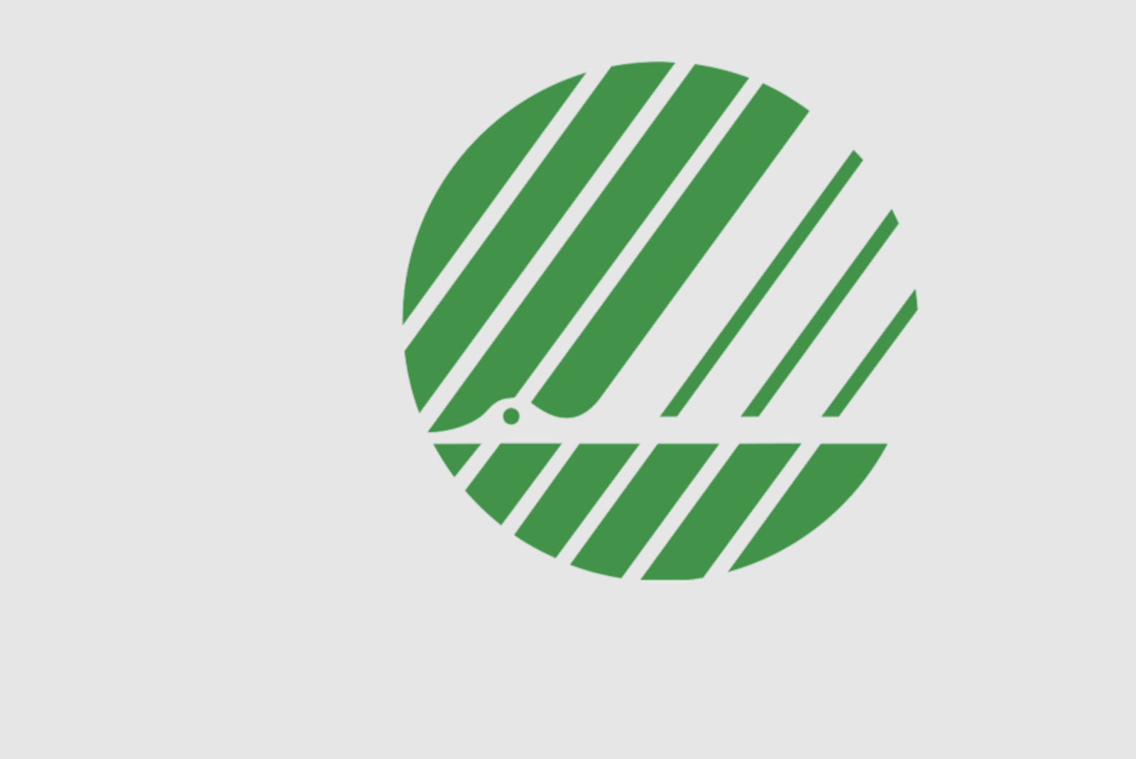 Svanemerket logo | En grønn og hvit svane mot hvit bakgrunn | Coor