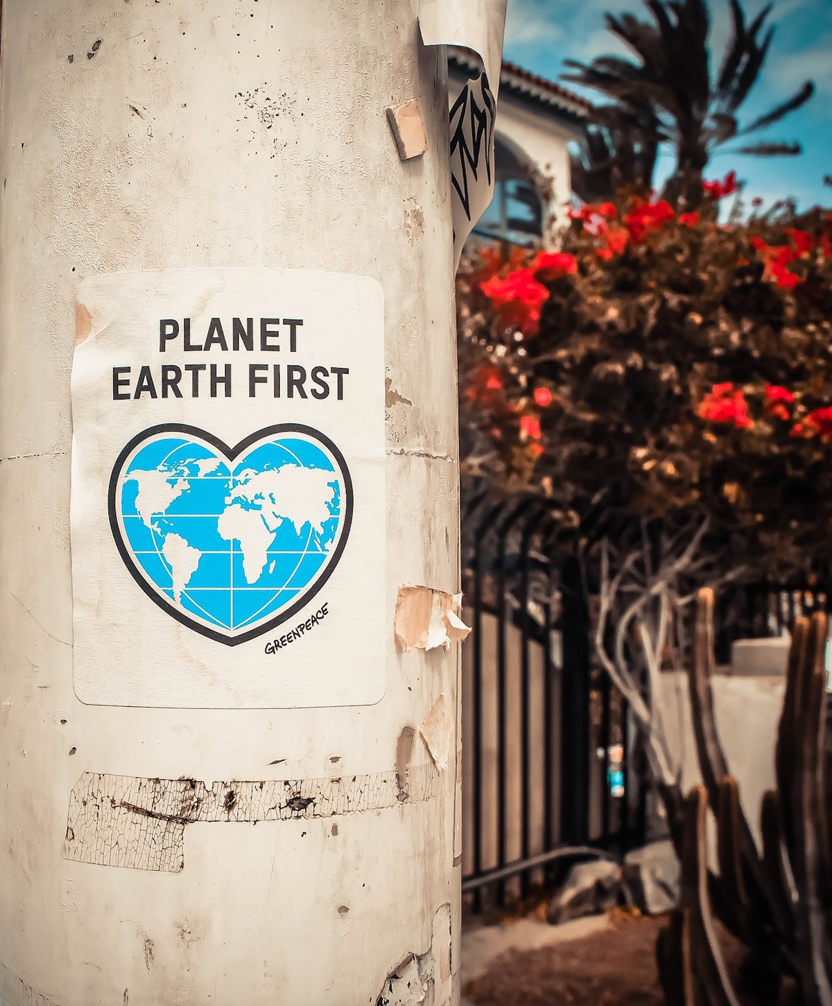 Planet Earth First poster on pole