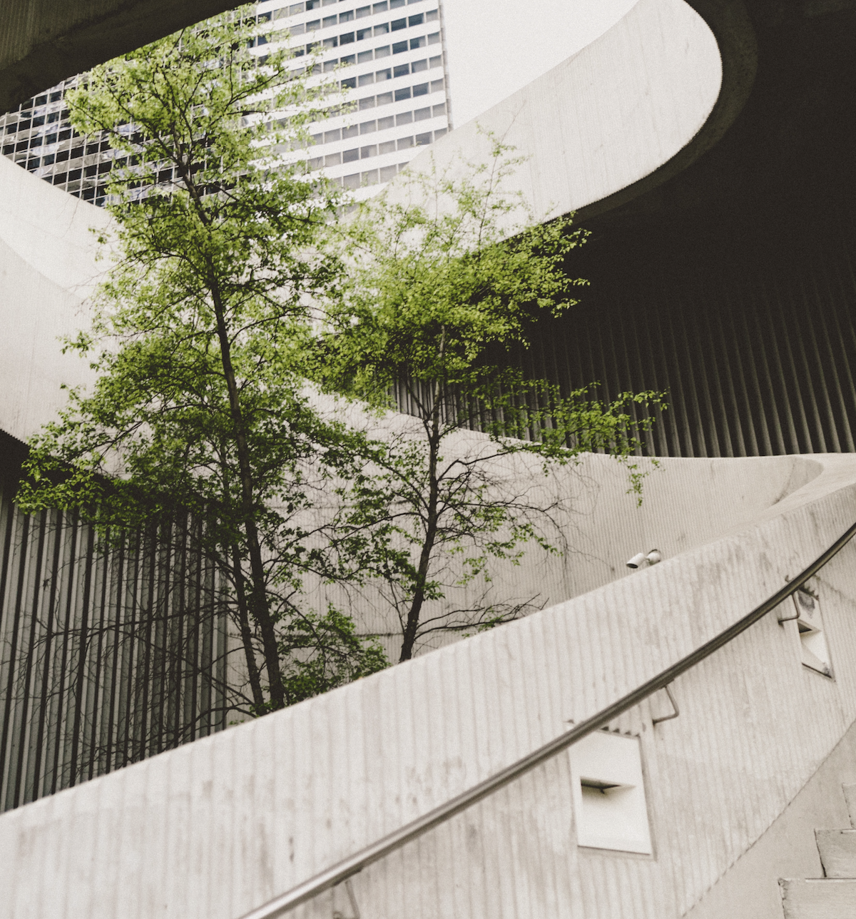 Grønne trær som omsluttes av en arkitektonisk betongtrapp | Virksomhetsansvar gir en mer bærekraftig fremtid | Coor