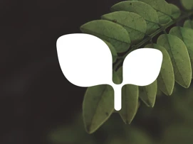 Logo for Environsense