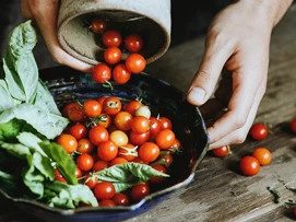 Cherry-tomater som helles i en bolle