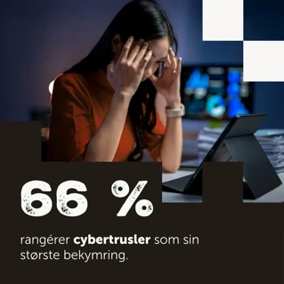 Bilde fem fra rapporten