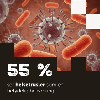 Bilde åtte fra rapporten