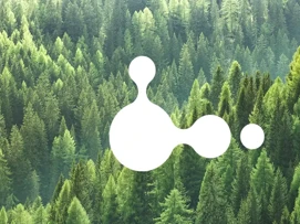 Logo for carbon insight by Coor